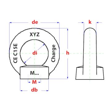 PGB Ringmoer C15E DIN 582 M12 Zn