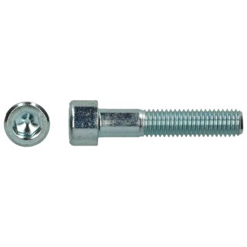 PGB BZK-schroef 8.8 VD ISO4762 M16x50 Zn