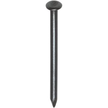 HJZ STAALNAGEL 4,2x100 BKV-STA/BLAUW 2,5KG/DOOS - 131.69