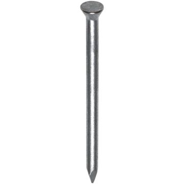 HJZ Stalen nagel 3,5 x 80 mm CK-STA/BLAUW-2,5KG 